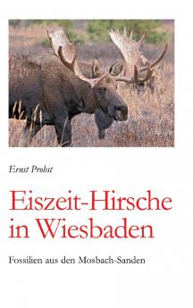 Eiszeit-Hirsche in Wiesbaden