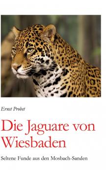 Die Jaguare von Wiesbaden