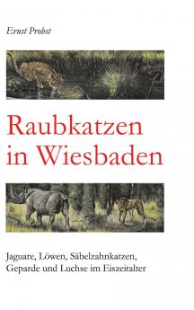 Raubkatzen in Wiesbaden