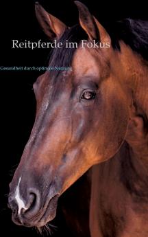 Reitpferde im Fokus