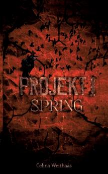 Spring - Projekt I