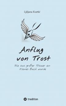 Anflug von Trost