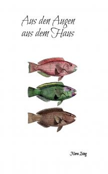 Aus den Augen aus dem Haus