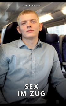 Sex im Zug