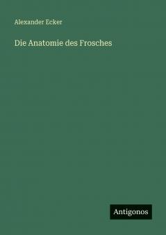 Die Anatomie des Frosches
