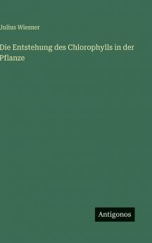 Die Entstehung des Chlorophylls in der Pflanze