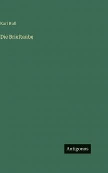 Die Brieftaube