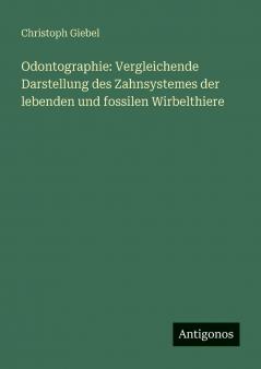 Odontographie