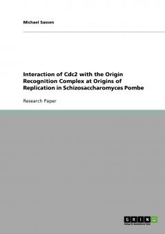 Interaction of Cdc2 with the Origin Recognition Complex at Origins of Replication in Schizosaccharomyces Pombe