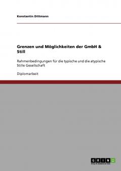 Grenzen und Möglichkeiten der GmbH & Still