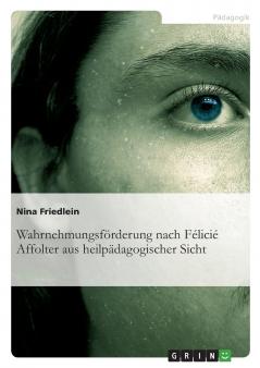 Wahrnehmungsförderung nach Félicié Affolter aus heilpädagogischer Sicht
