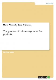 The process of risk management for projects