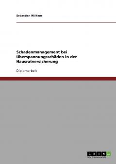 Schadenmanagement bei Überspannungsschäden in der Hausratversicherung