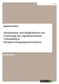 Erfordernisse und Möglichkeiten der Umsetzung des organisatorischen Unbundling in Energieversorgungsunternehmen