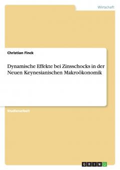 Dynamische Effekte bei Zinsschocks in der Neuen Keynesianischen Makroökonomik