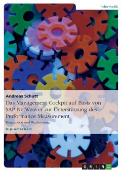 Das Management Cockpit auf Basis von SAP NetWeaver zur Unterstützung des Performance Measurement
