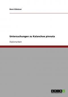 Untersuchungen zu Kalanchoe pinnata