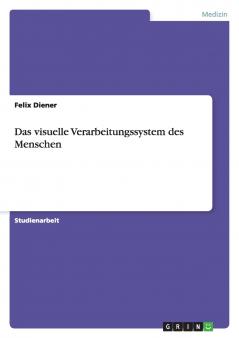 Das visuelle Verarbeitungssystem des Menschen