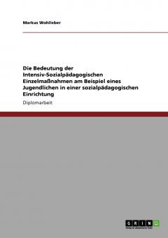 Die Bedeutung der Intensiv-Sozialpädagogischen Einzelmaßnahmen am Beispiel eines Jugendlichen in einer sozialpädagogischen Einrichtung