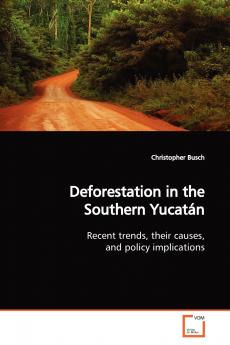 Deforestation in the Southern Yucatán