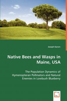 Native Bees and Wasps in Maine USA
