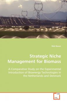 Strategic Niche Management for Biomass