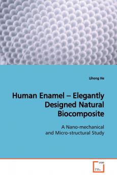 Human Enamel - Elegantly Designed Natural  Biocomposite