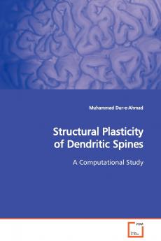 Structural Plasticity of Dendritic Spines