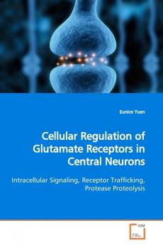 Cellular Regulation of Glutamate Receptors in  Central Neurons