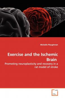 Exercise and the Ischemic Brain