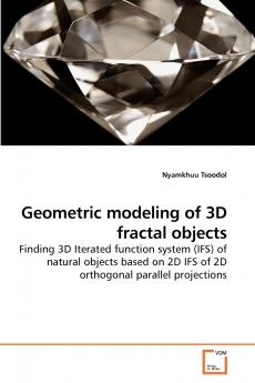 Geometric modeling of 3D fractal objects