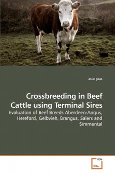 Crossbreeding in Beef Cattle using             Terminal Sires