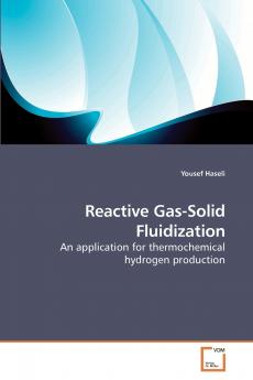 Reactive Gas-Solid Fluidization