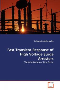 Fast Transient Response of High Voltage Surge Arresters