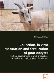 Collection in vitro maturation and fertilization of goat oocytes