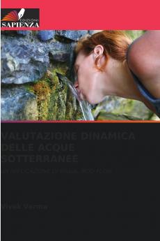 VALUTAZIONE DINAMICA DELLE ACQUE SOTTERRANEE