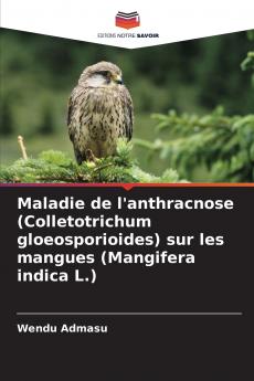 Maladie de l'anthracnose (Colletotrichum gloeosporioides) sur les mangues (Mangifera indica L.)
