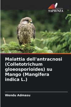 Malattia dell'antracnosi (Colletotrichum gloeosporioides) su Mango (Mangifera indica L.)