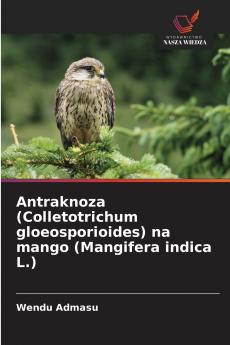 Antraknoza (Colletotrichum gloeosporioides) na mango (Mangifera indica L.)