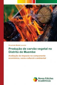 Produção de carvão vegetal no Distrito de Muembe