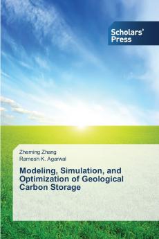 Modeling Simulation and Optimization of Geological Carbon Storage