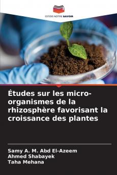 Études sur les micro-organismes de la rhizosphère favorisant la croissance des plantes