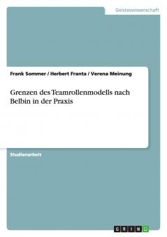 Grenzen des Teamrollenmodells nach Belbin in der Praxis