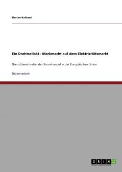 Ein Drahtseilakt - Markmacht auf dem Elektrizit��tsmarkt