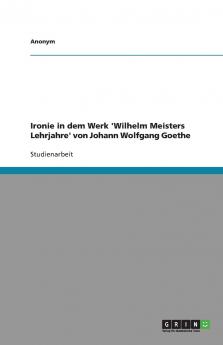 Ironie in dem Werk 'Wilhelm Meisters Lehrjahre' von Johann  Wolfgang Goethe