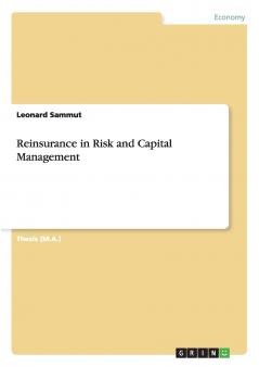 Reinsurance in Risk and Capital Management