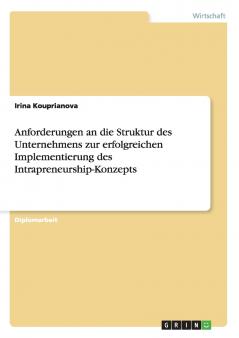 Anforderungen an die Struktur des Unternehmens zur erfolgreichen Implementierung des Intrapreneurship-Konzepts