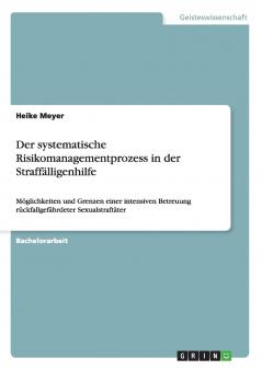 Der systematische Risikomanagementprozess in der Straffälligenhilfe