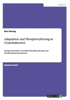 Adaptation und Phosphorylierung in Cyanobakterien