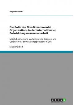 Die Rolle der Non-Governmental Organizations in der internationalen Entwicklungszusammenarbeit